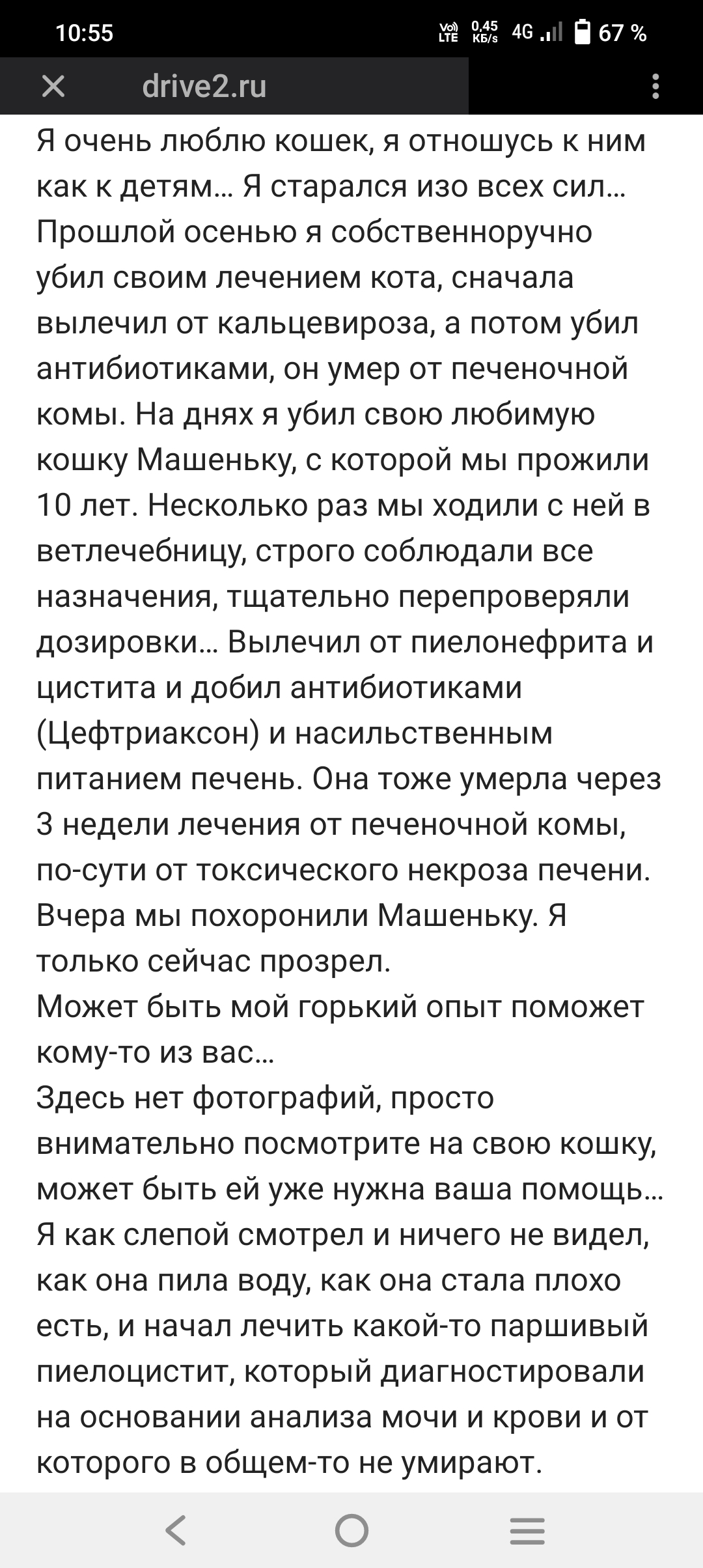 Как убивают антибиотики | Пикабу