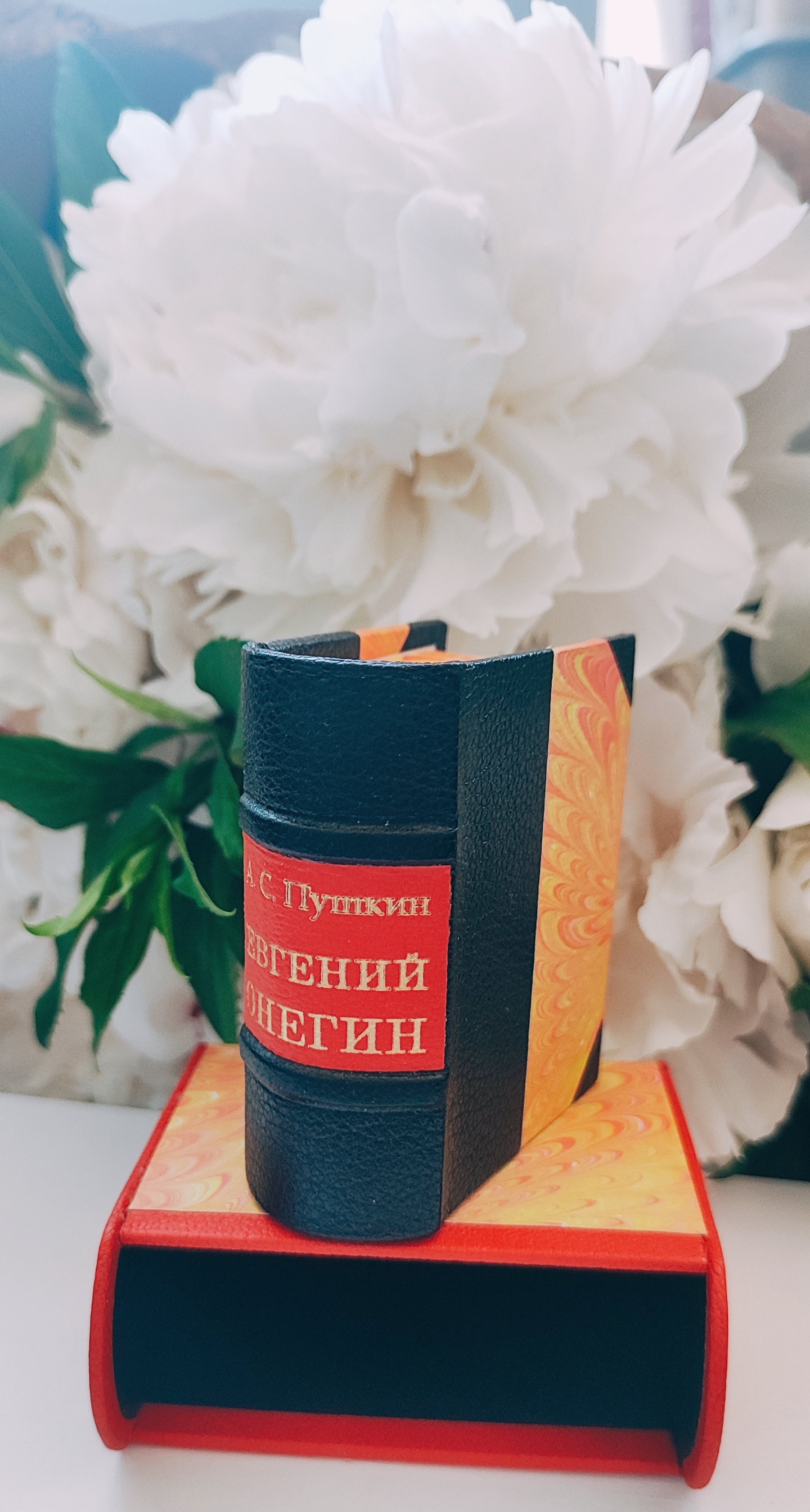 Миниатюрная книга "Евгений Онегин" | Пикабу