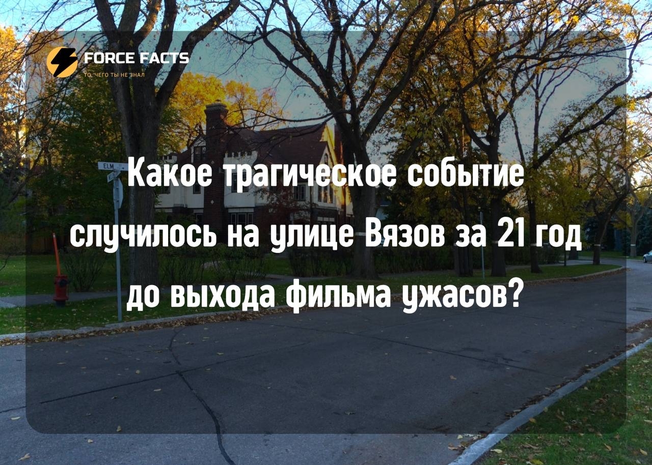 Какое трагическое событие случилось на улице Вязов за 21 год до выхода  фильма ужасов? | Пикабу