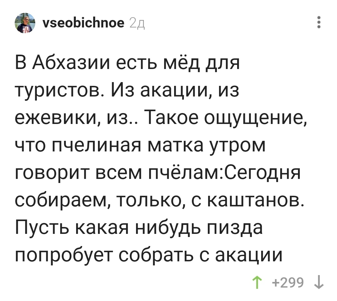 Кто самый клиентоориентированный в Абхазии? - Пчелы! (Или как  нае...обмануть туриста...) | Пикабу