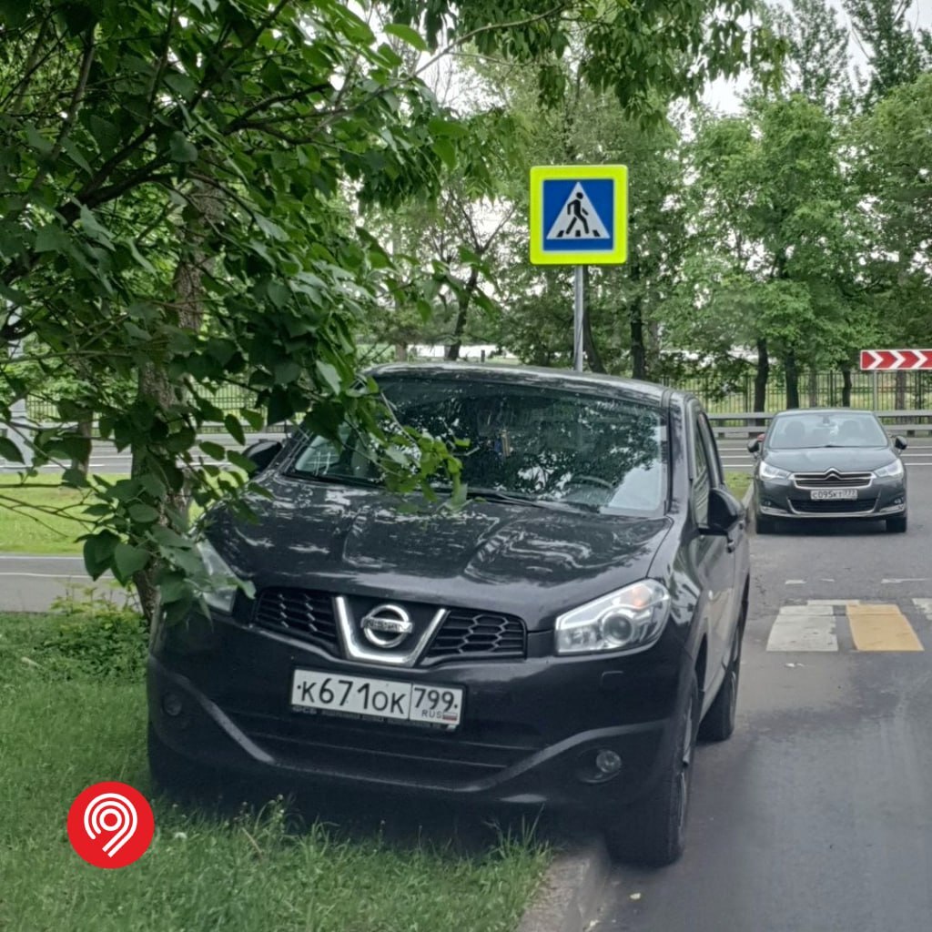 Более 47 тысяч машин припарковались на траве или под деревьями с начала  года | Пикабу