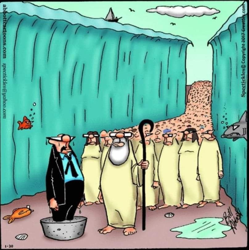 Находка | Пикабу