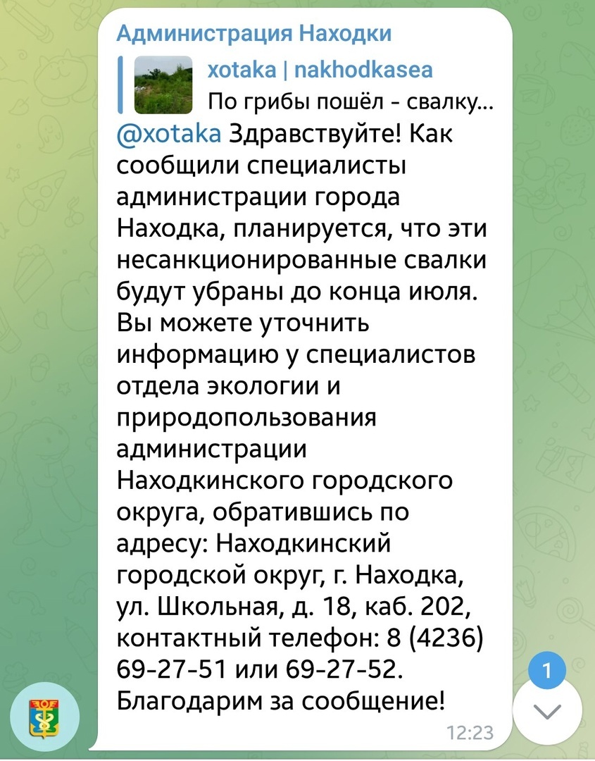 Пошёл по грибы - а нашёл аж две свалки прямо в городе Находка... | Пикабу