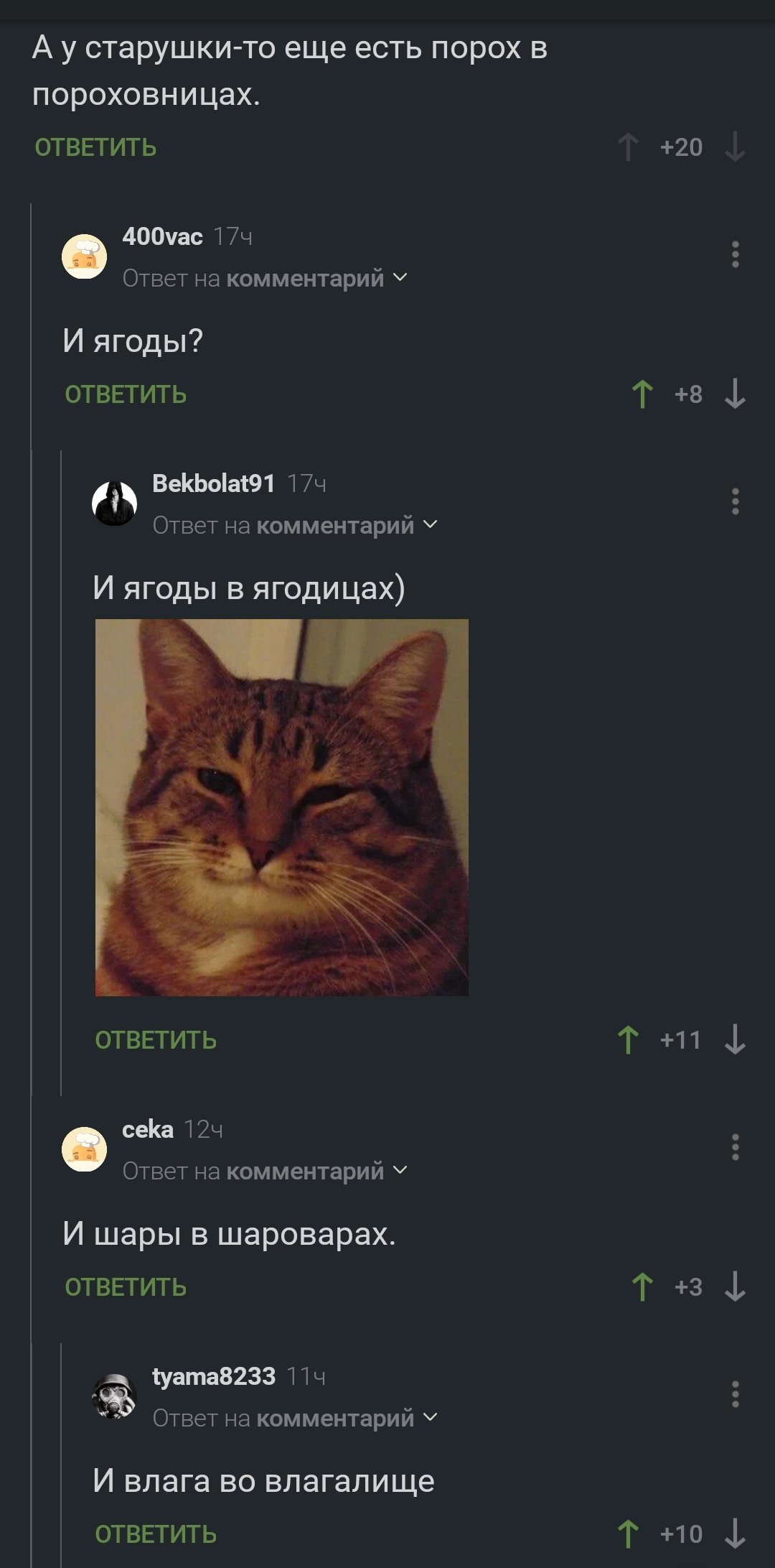 Порох в пороховницах | Пикабу