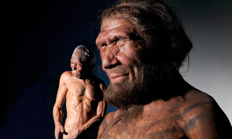 Что стало с неандертальцами? | Пикабу