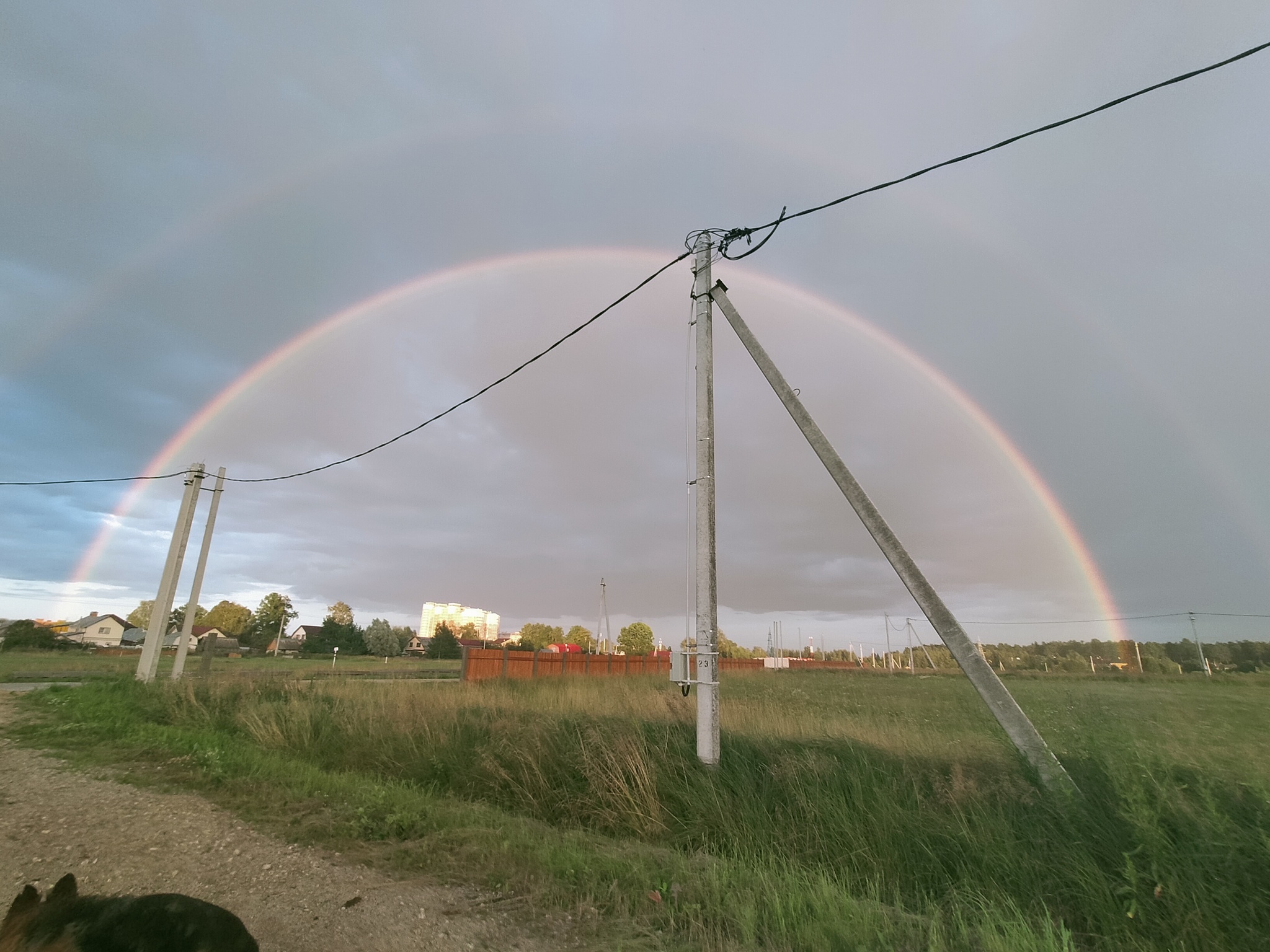 Радуга | Пикабу