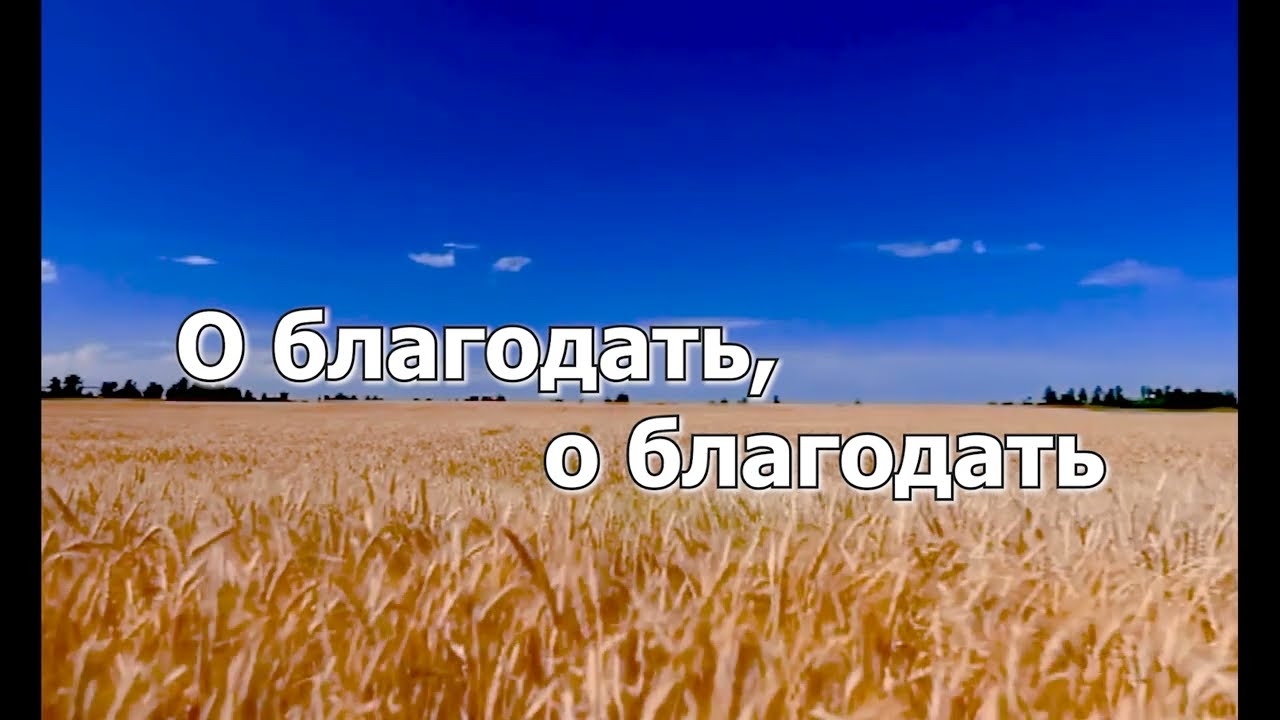 Божья благодать | Пикабу