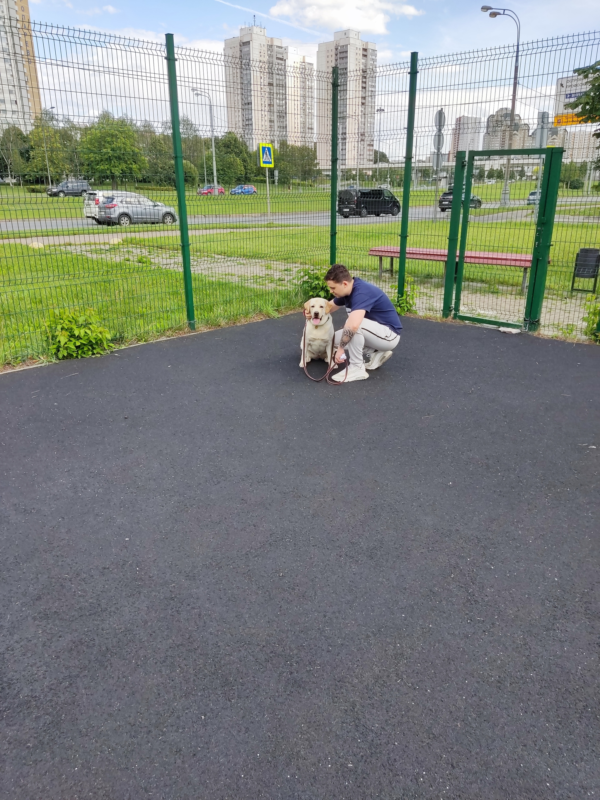 Собакам не место на корте | Пикабу