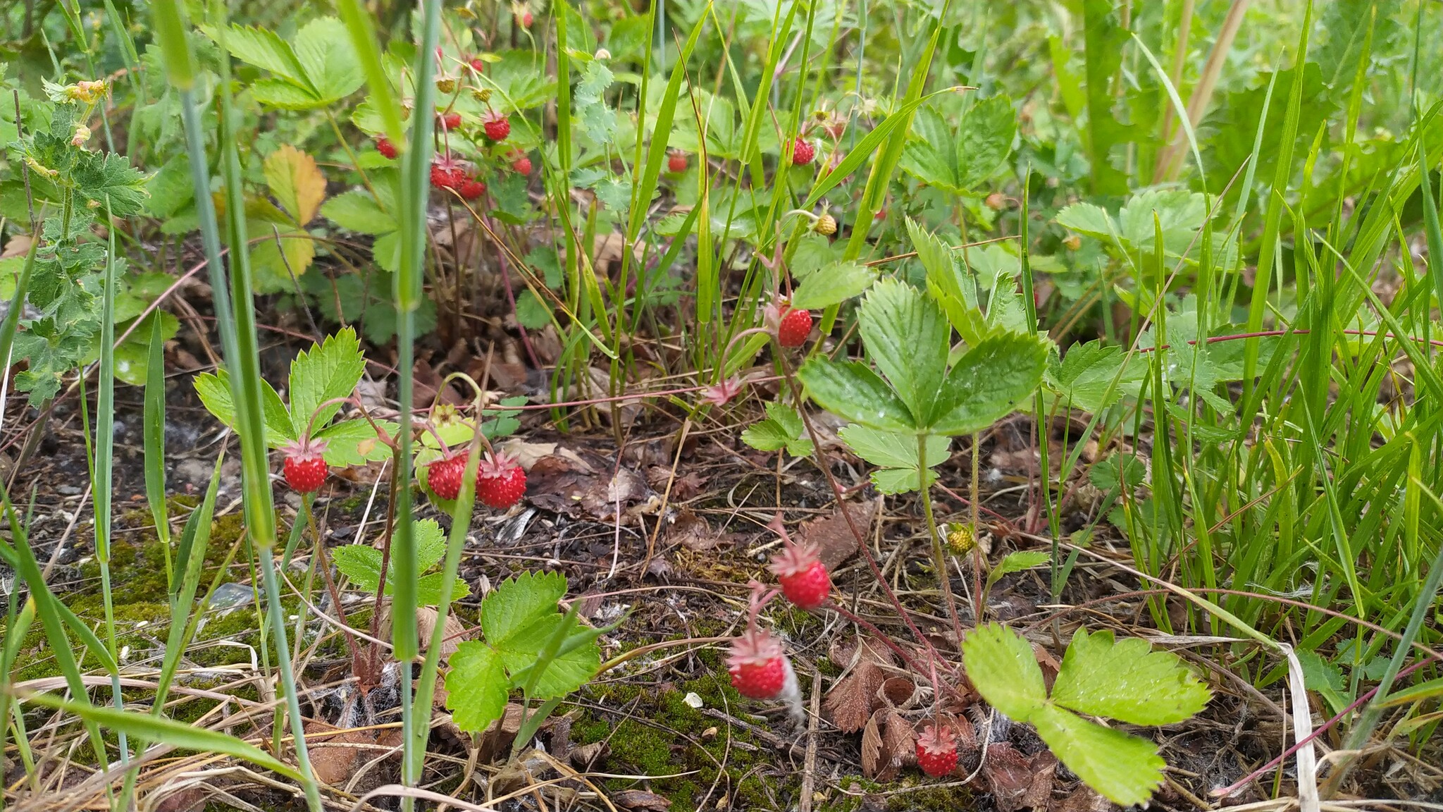 Ням- ням | Пикабу