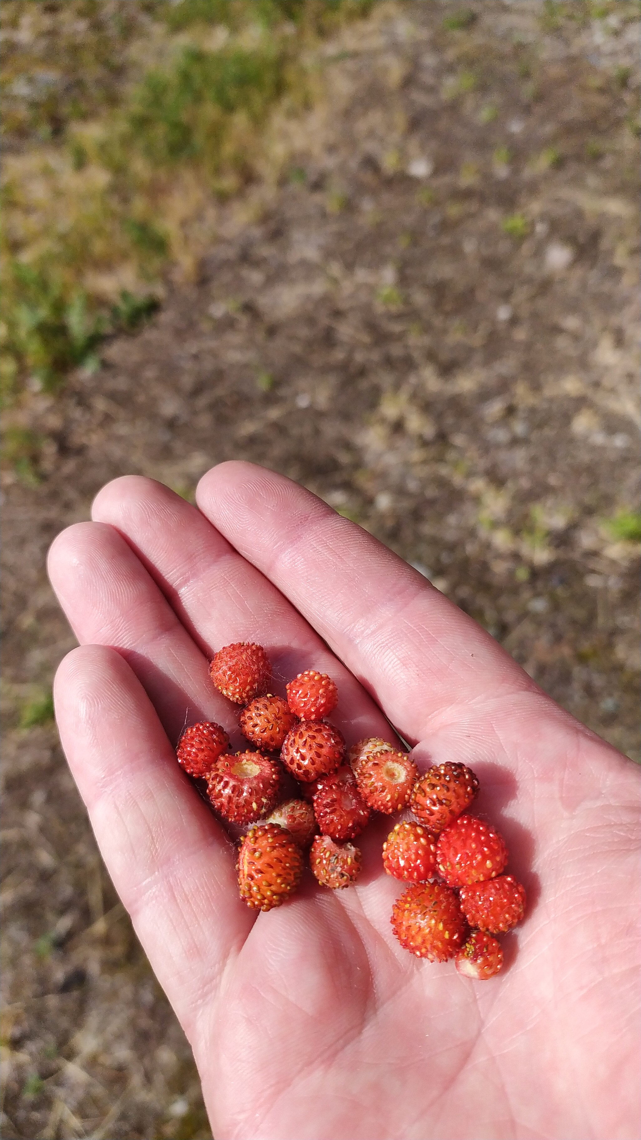 Ням- ням | Пикабу