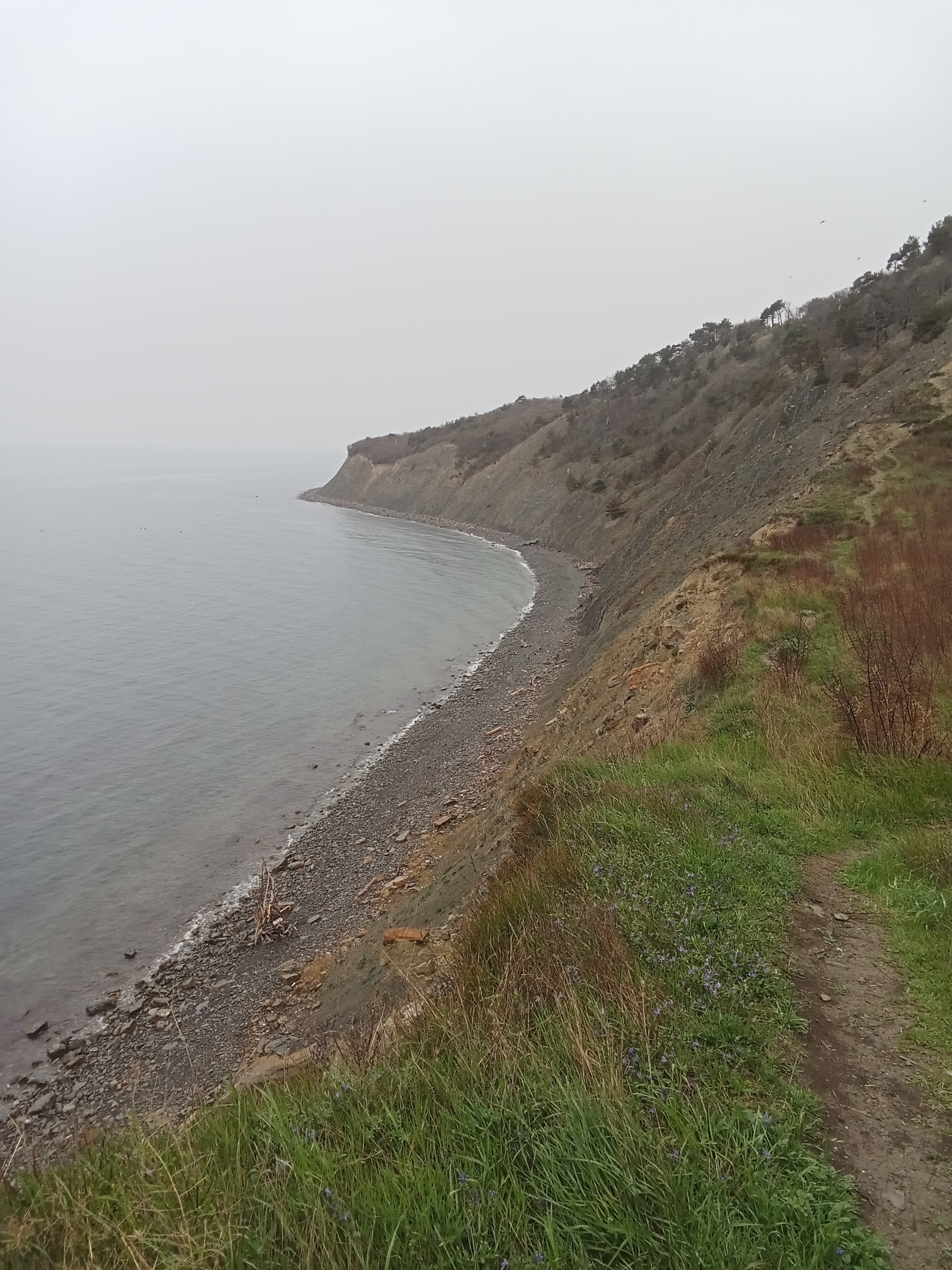 Много лет | Пикабу