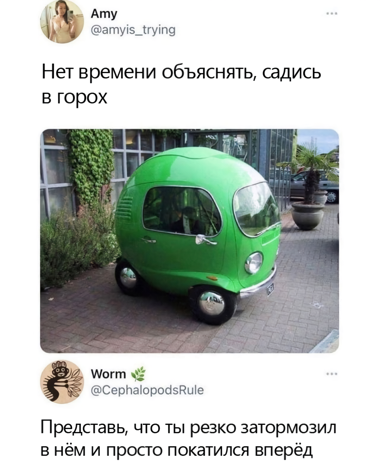 Садись в горох | Пикабу