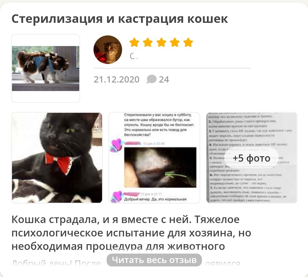Мое хобби-подработка. Сайт отзывов Irecommеnd | Пикабу