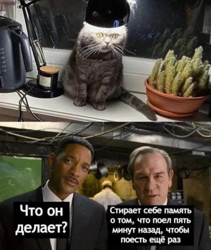 Запускайте нейрализатор | Пикабу