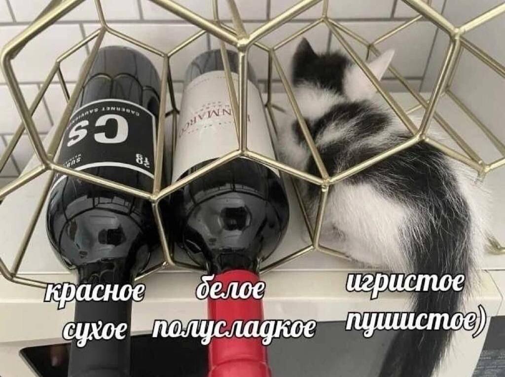 Пятничное | Пикабу