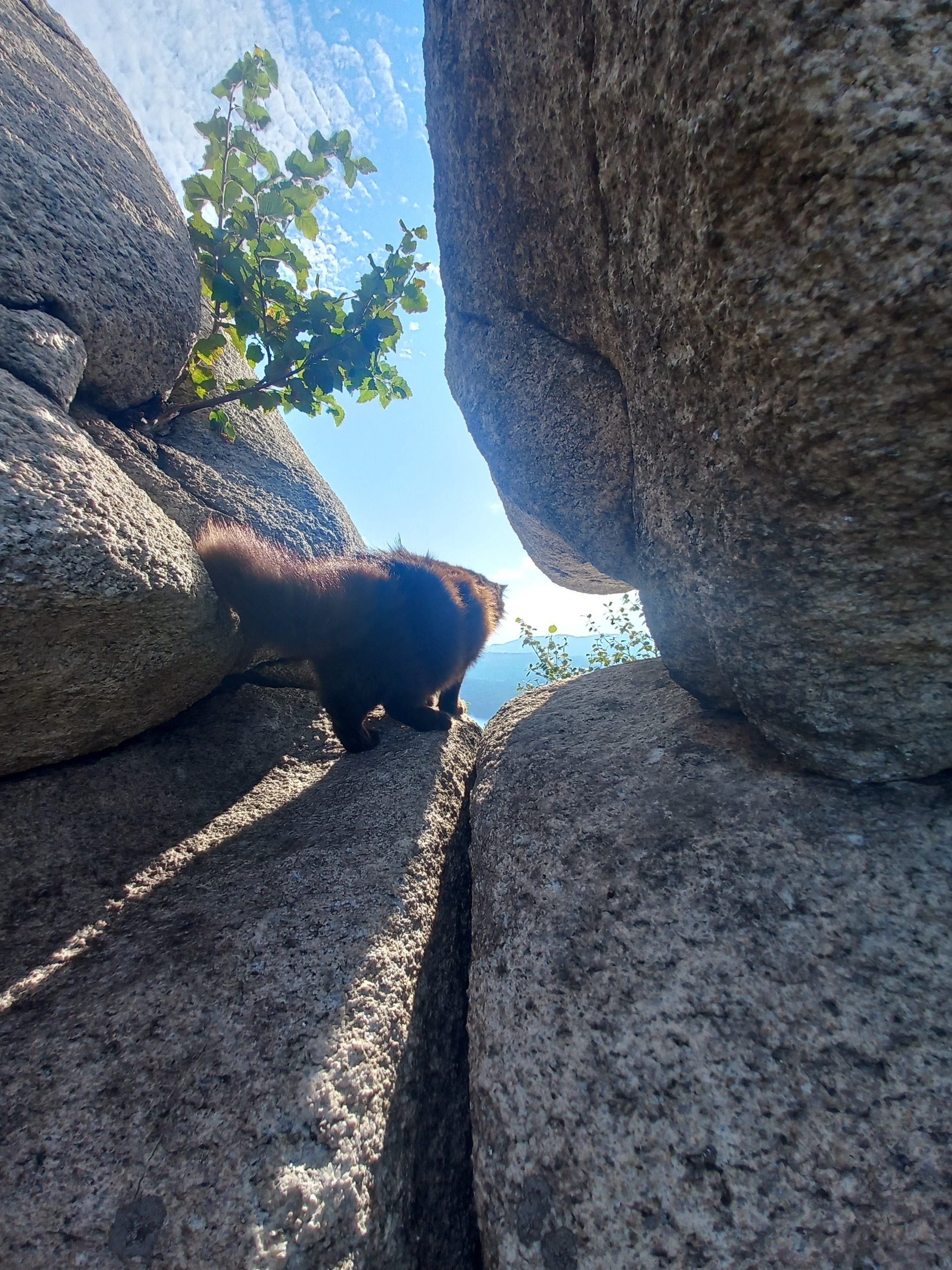 Аракульский шихан | Пикабу