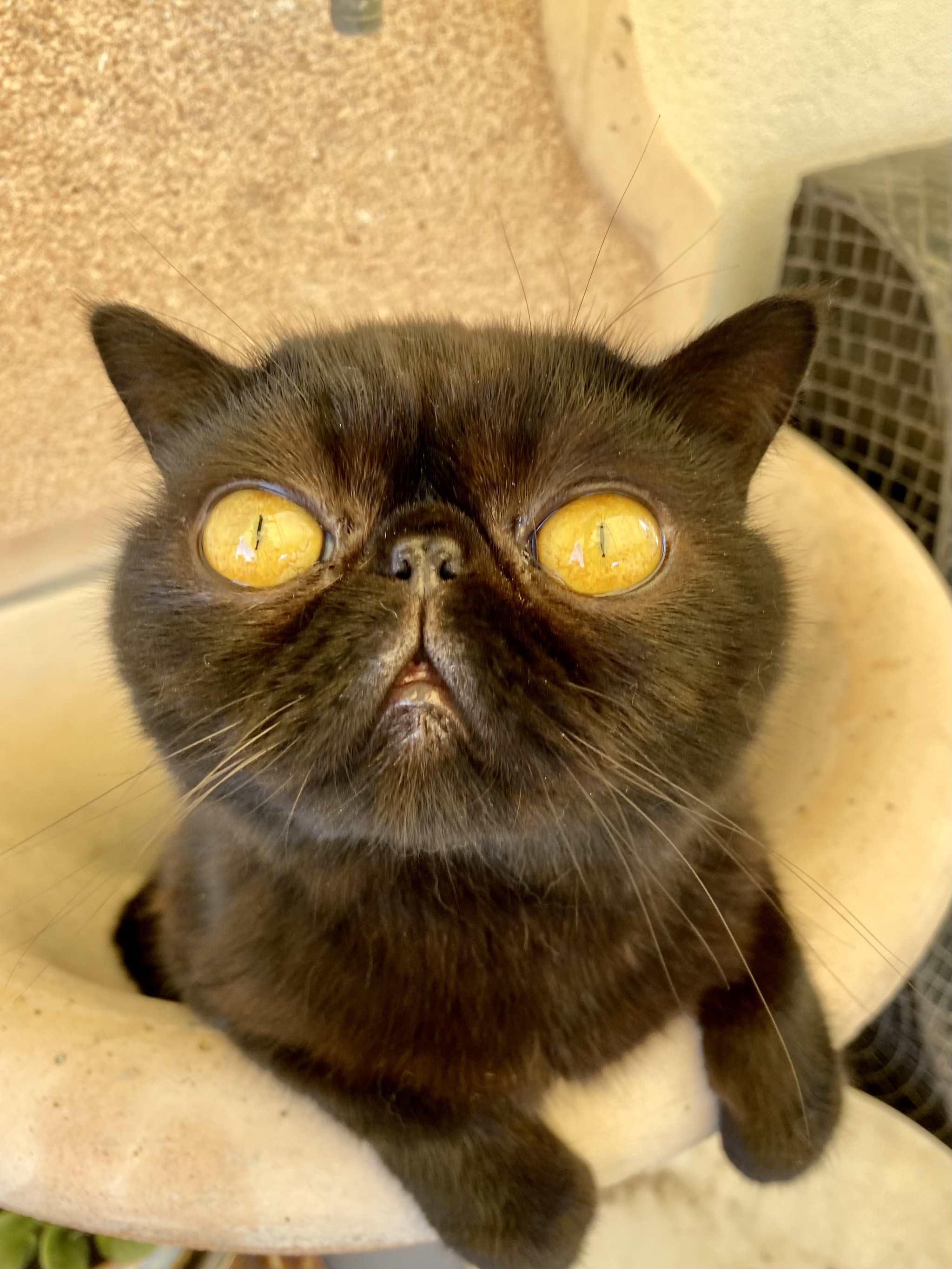 Опять забилась раковина | Пикабу