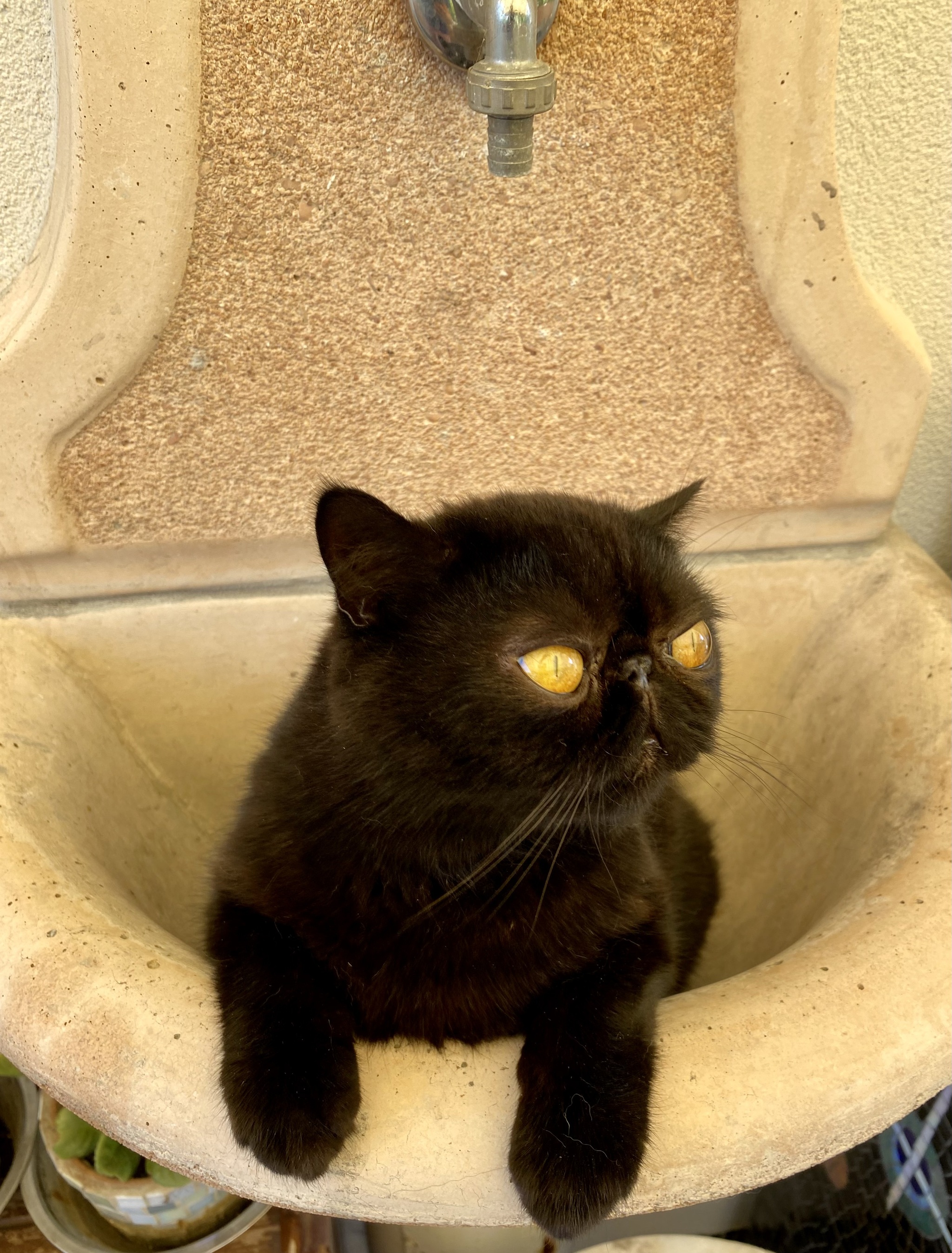 Опять забилась раковина | Пикабу