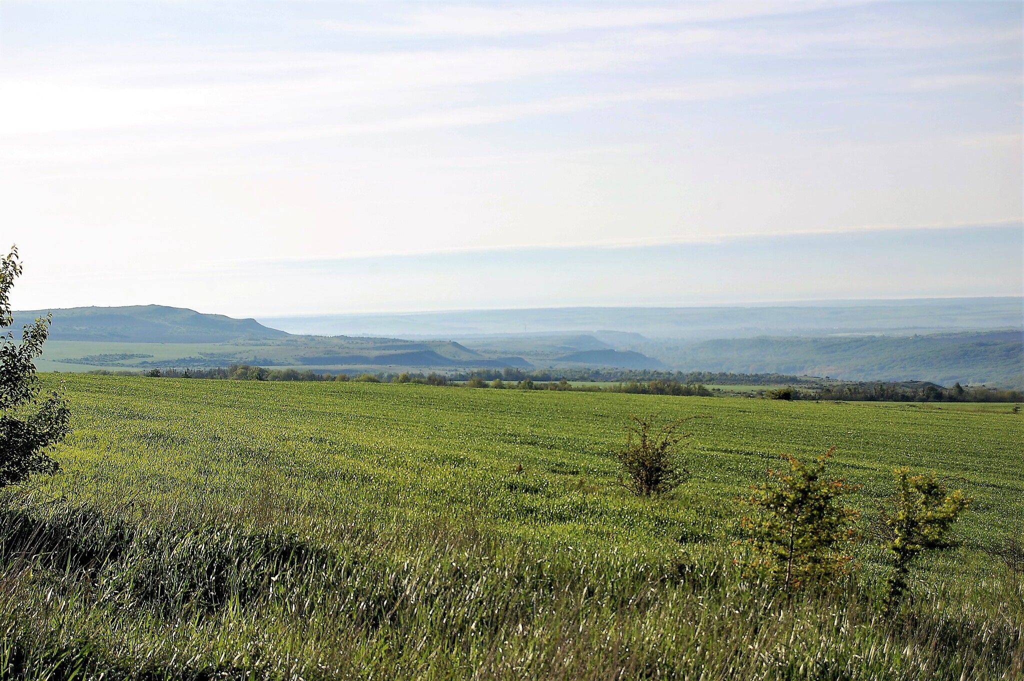 "Девица" Ставропольский край | Пикабу