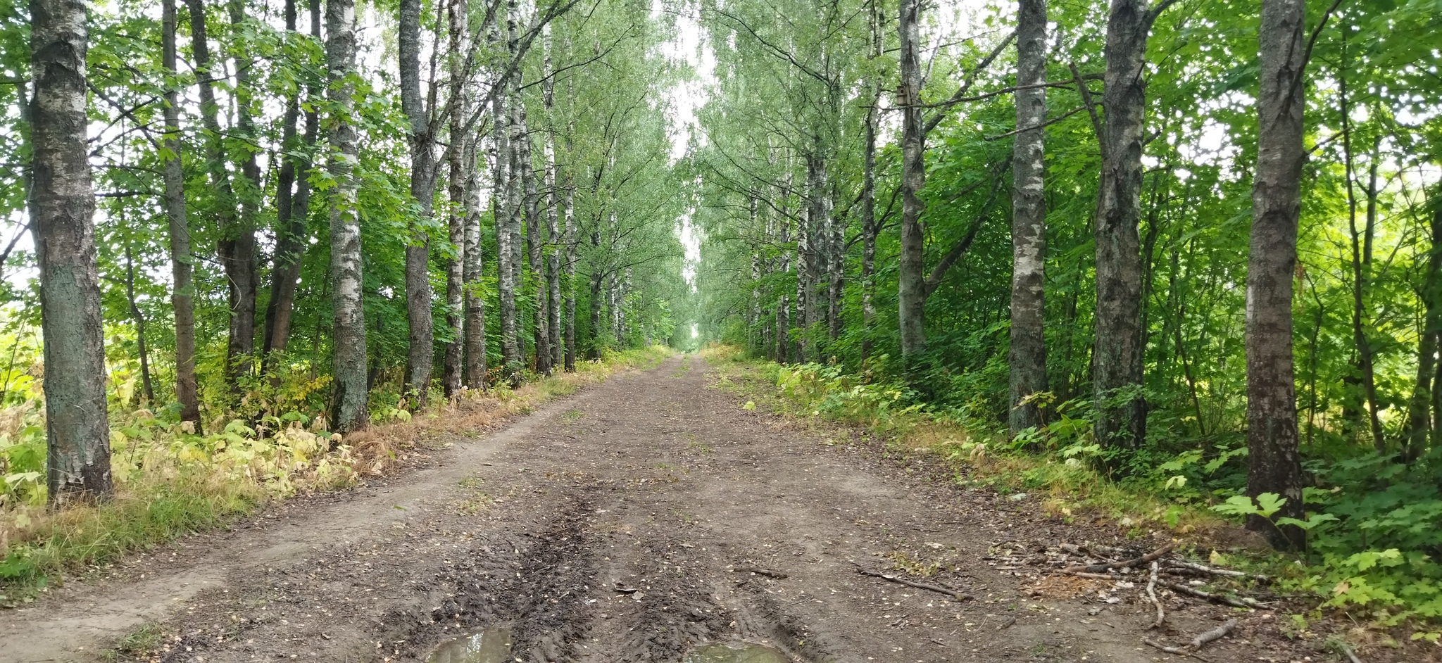 Путешествие Санкт-Петербург - Мшинская | Пикабу