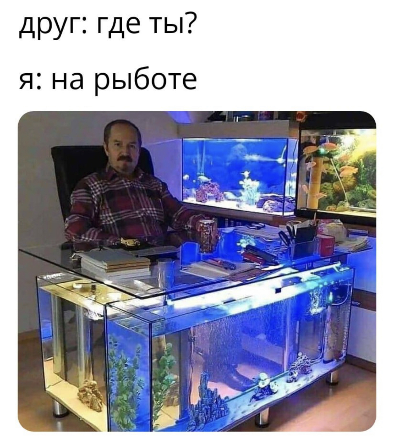 Рыбокоп получается | Пикабу