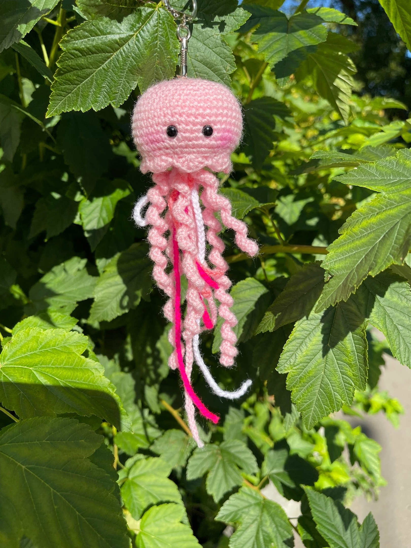 Медуза крючком | Пикабу