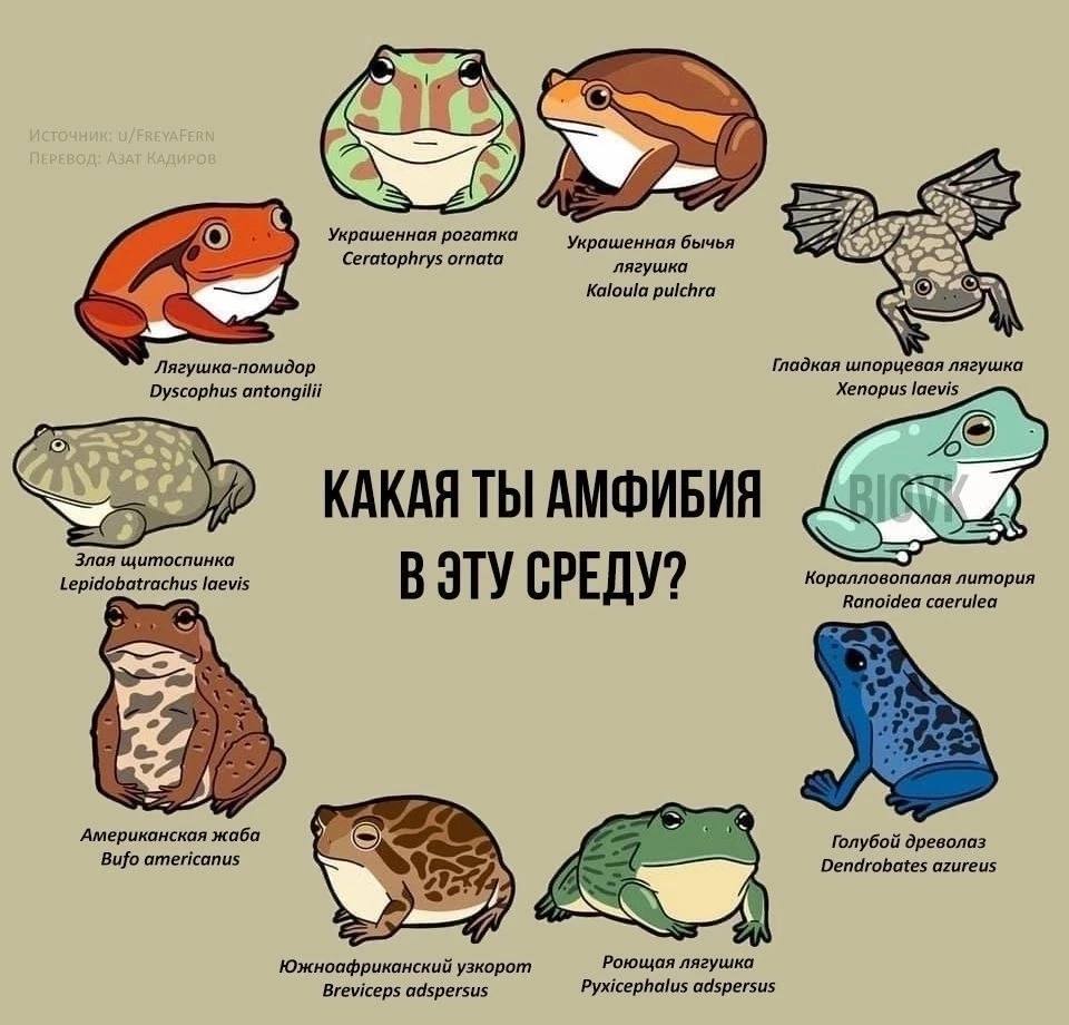 С днём среды, мои чуваки | Пикабу