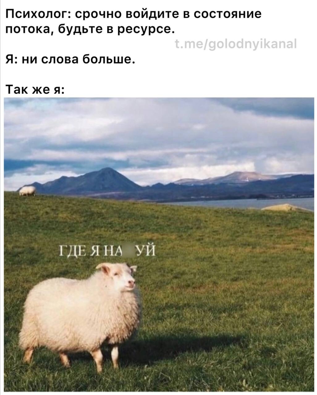 МЕМ | Пикабу