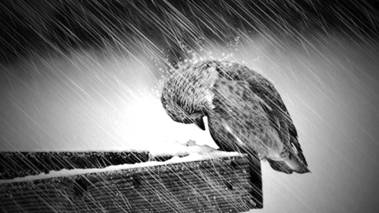 Из старенького | Пикабу