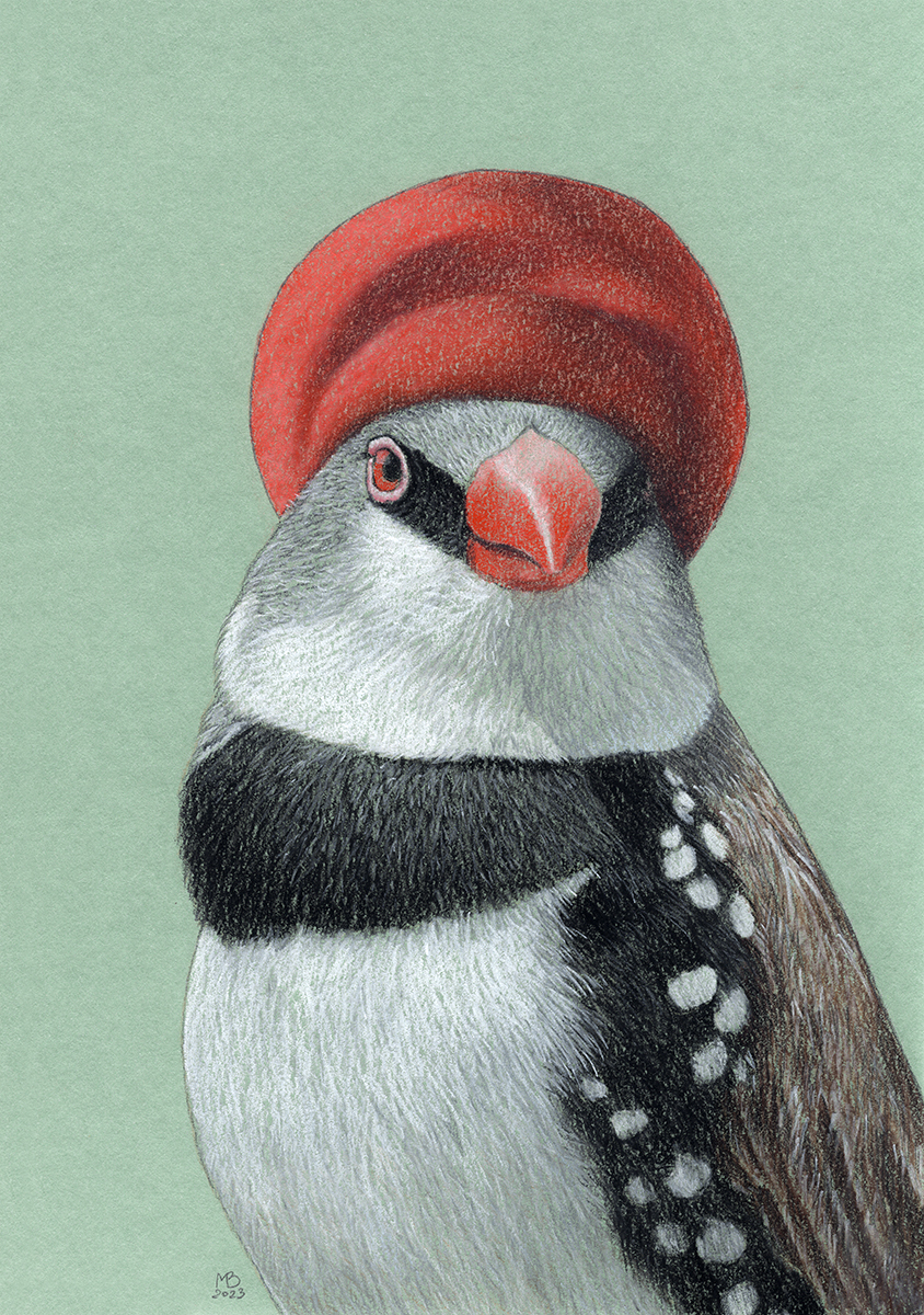 "Кандибобер" | Пикабу