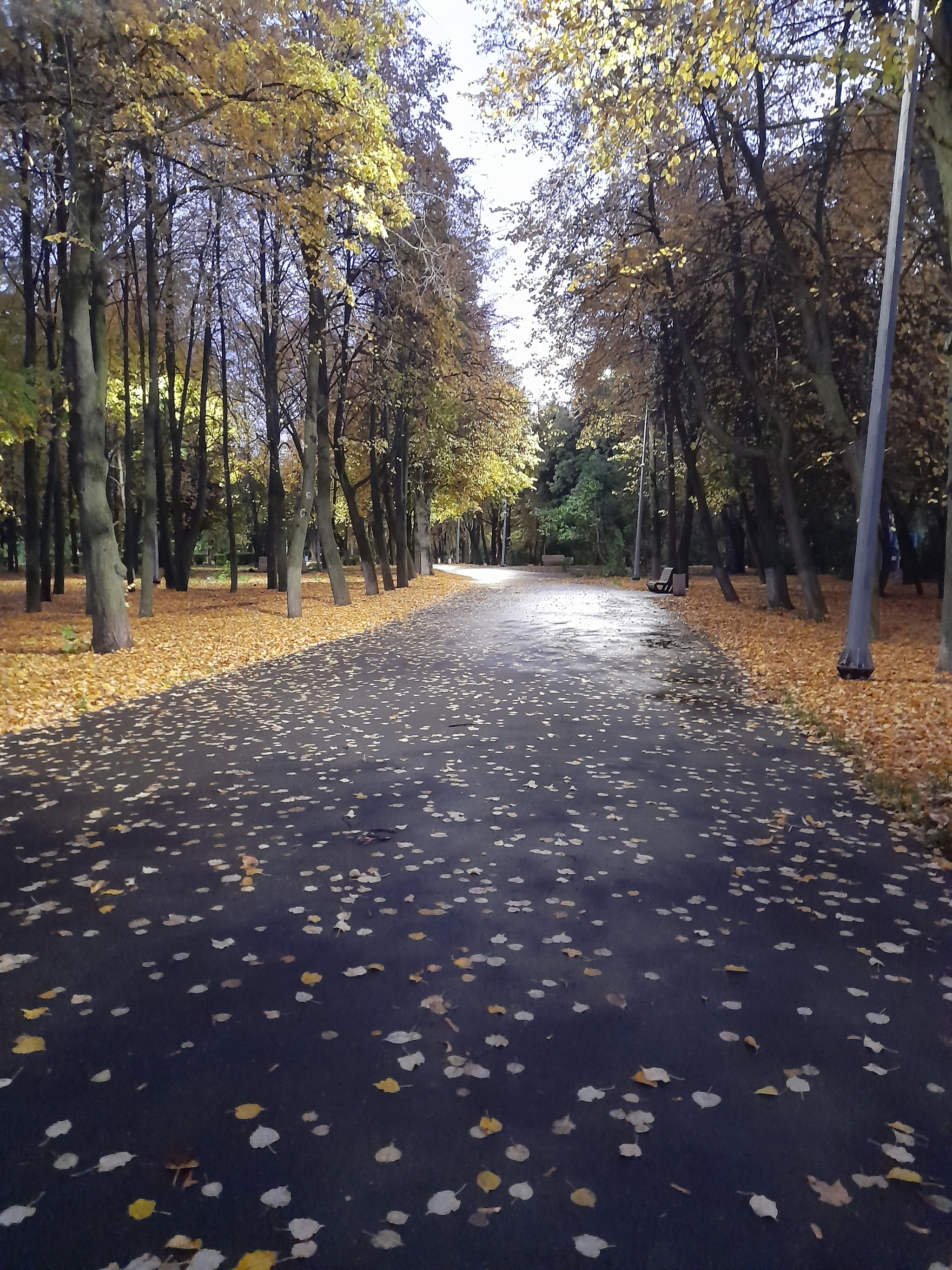 В воздухе запахло осенью..Ой ну ни чего себе.Цитата из текста Алексея  Долматова.Осень на Среднем | Пикабу