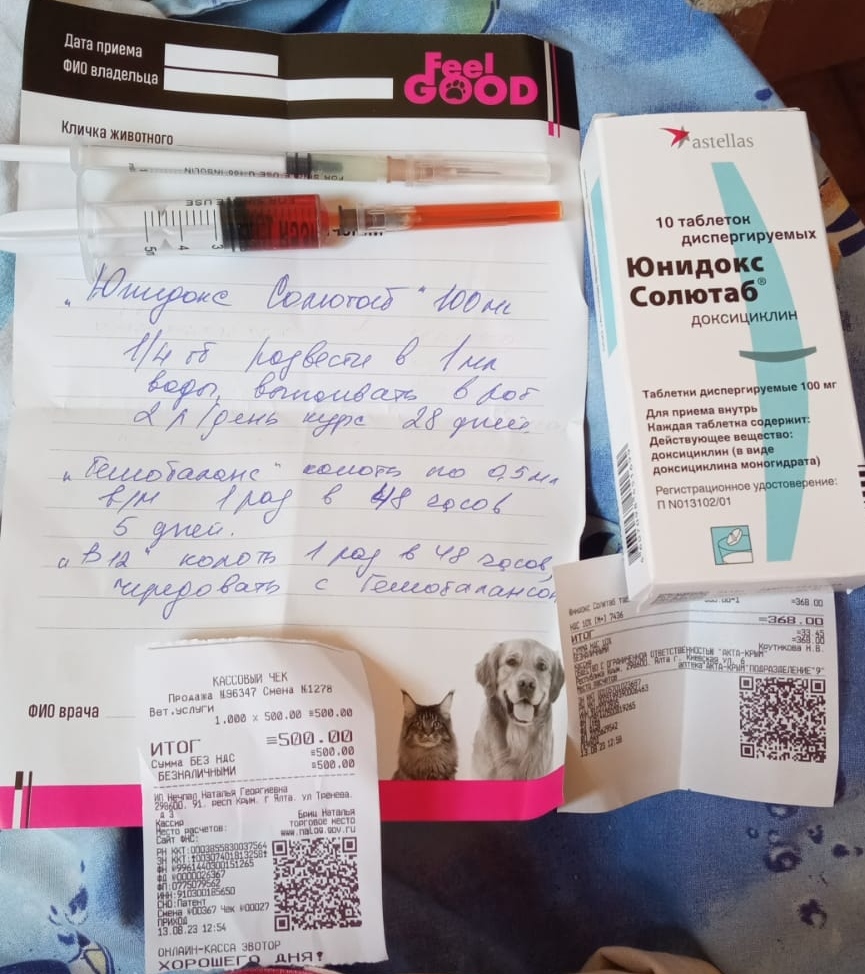 Персик приболел. Лечу | Пикабу