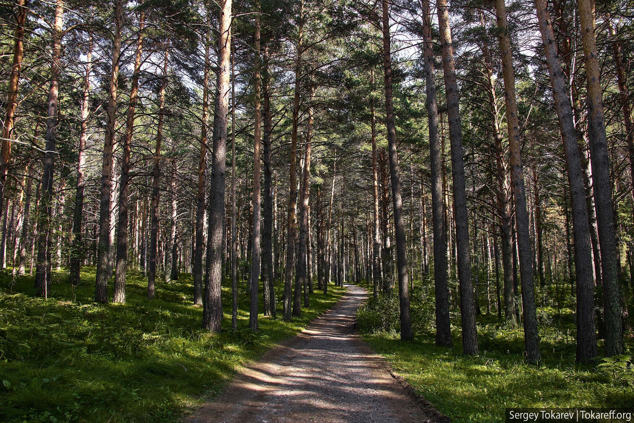 парк шушенский бор