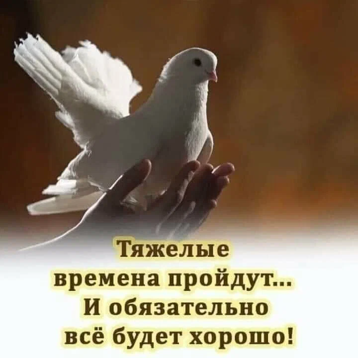 Ура! | Пикабу