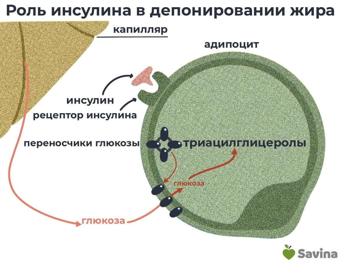 Ответ на пост «Итак, социальный эксперимент на Пикабу» | Пикабу