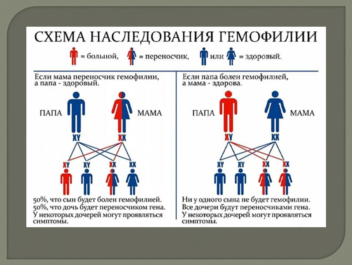 Дневник фельдшера скорой помощи. Гемофилия | Пикабу