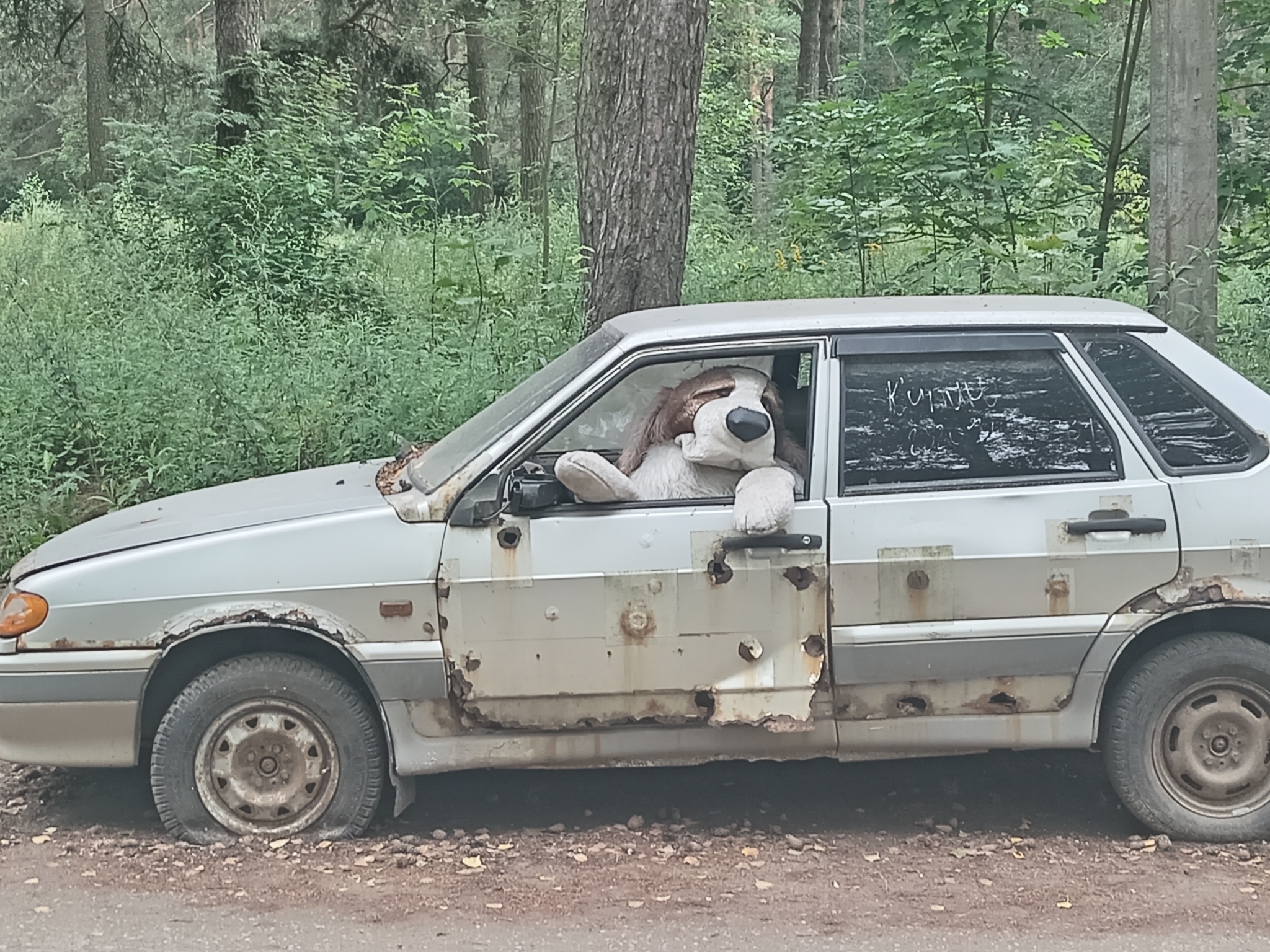 Собака-автоугоняка | Пикабу