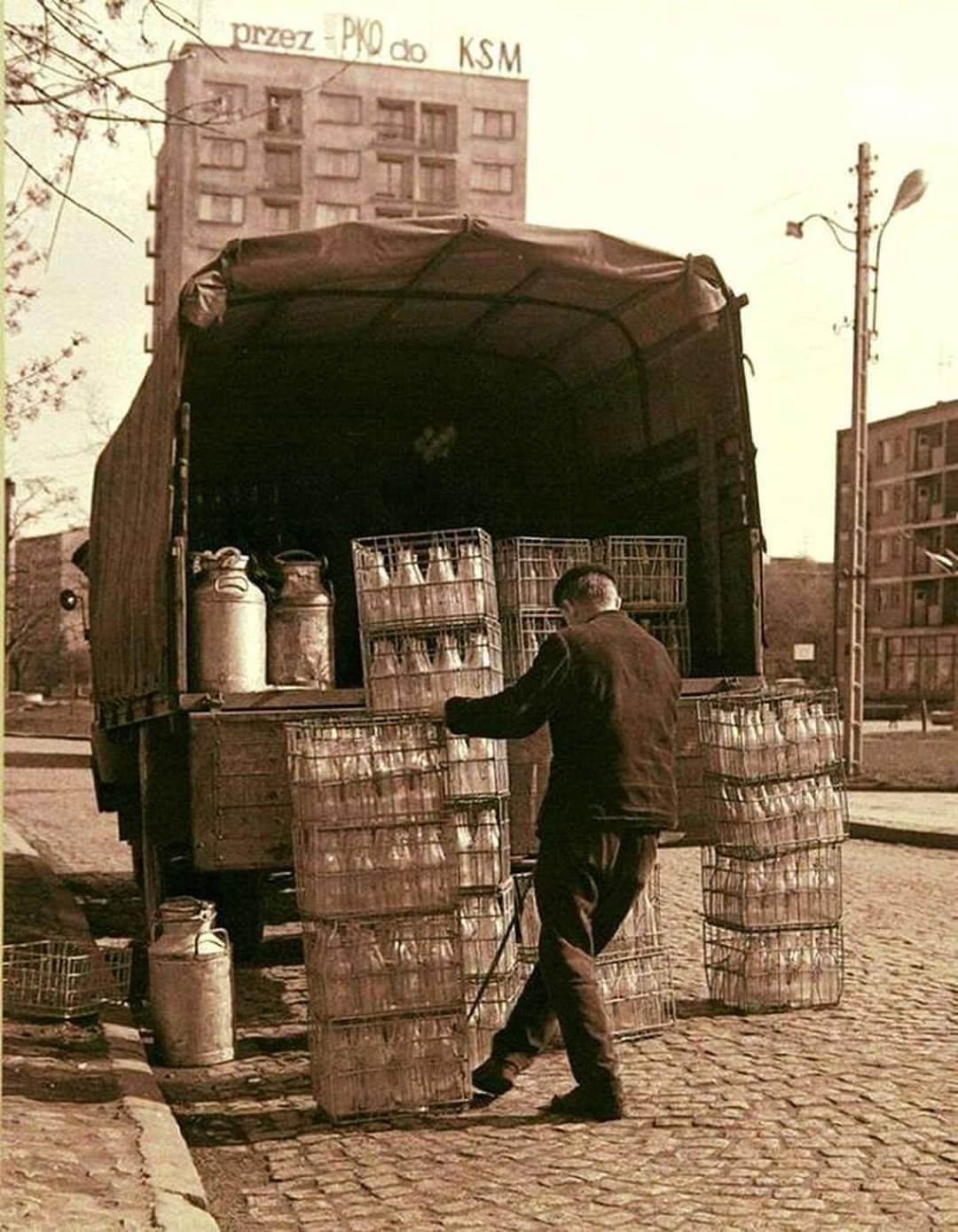 Молоко | Пикабу