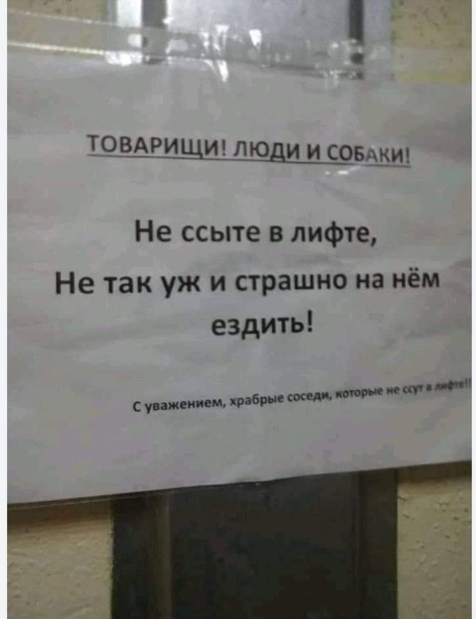 Не ссыте | Пикабу