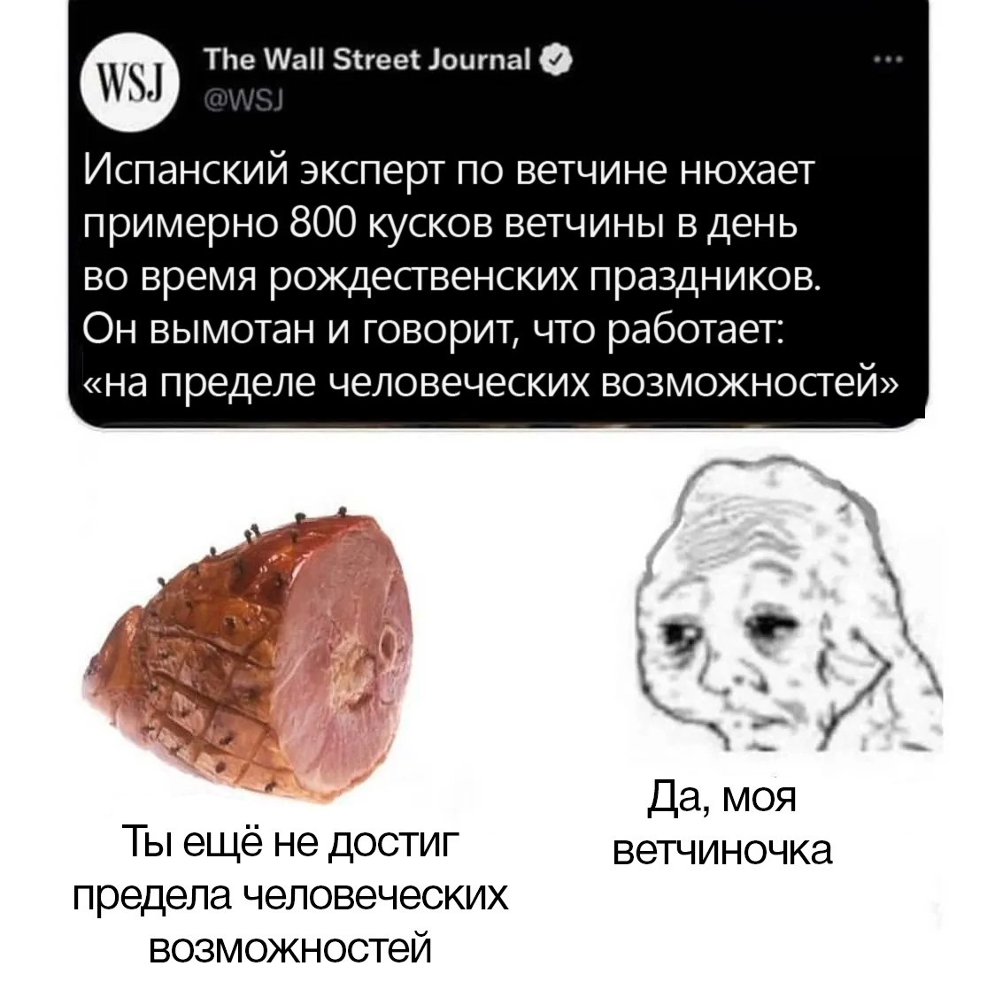 Эксперт | Пикабу