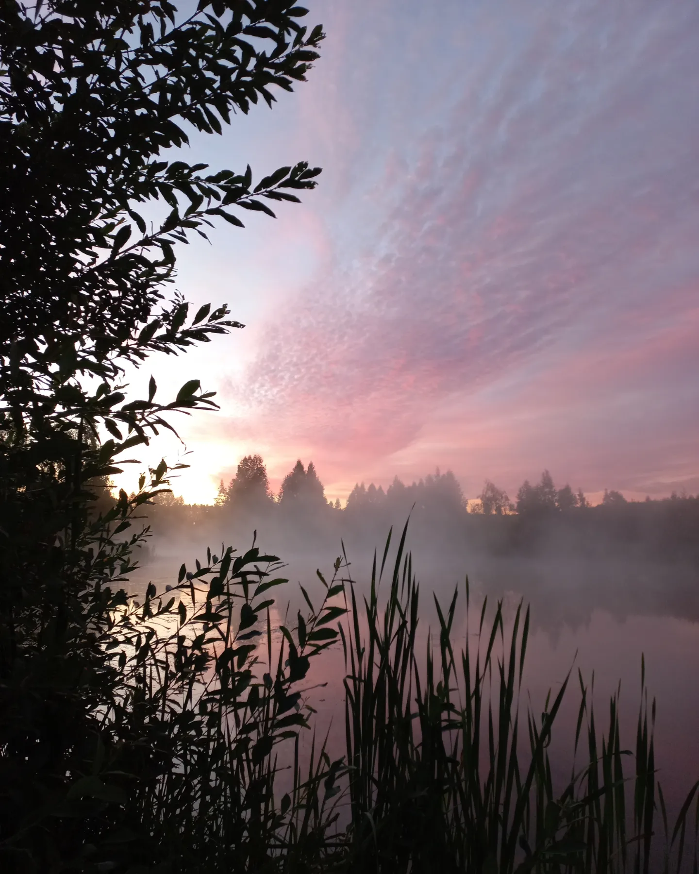 Рассвет | Пикабу