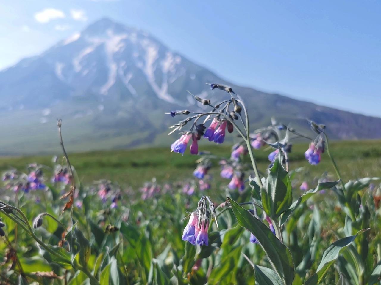 Камчатский край | Пикабу