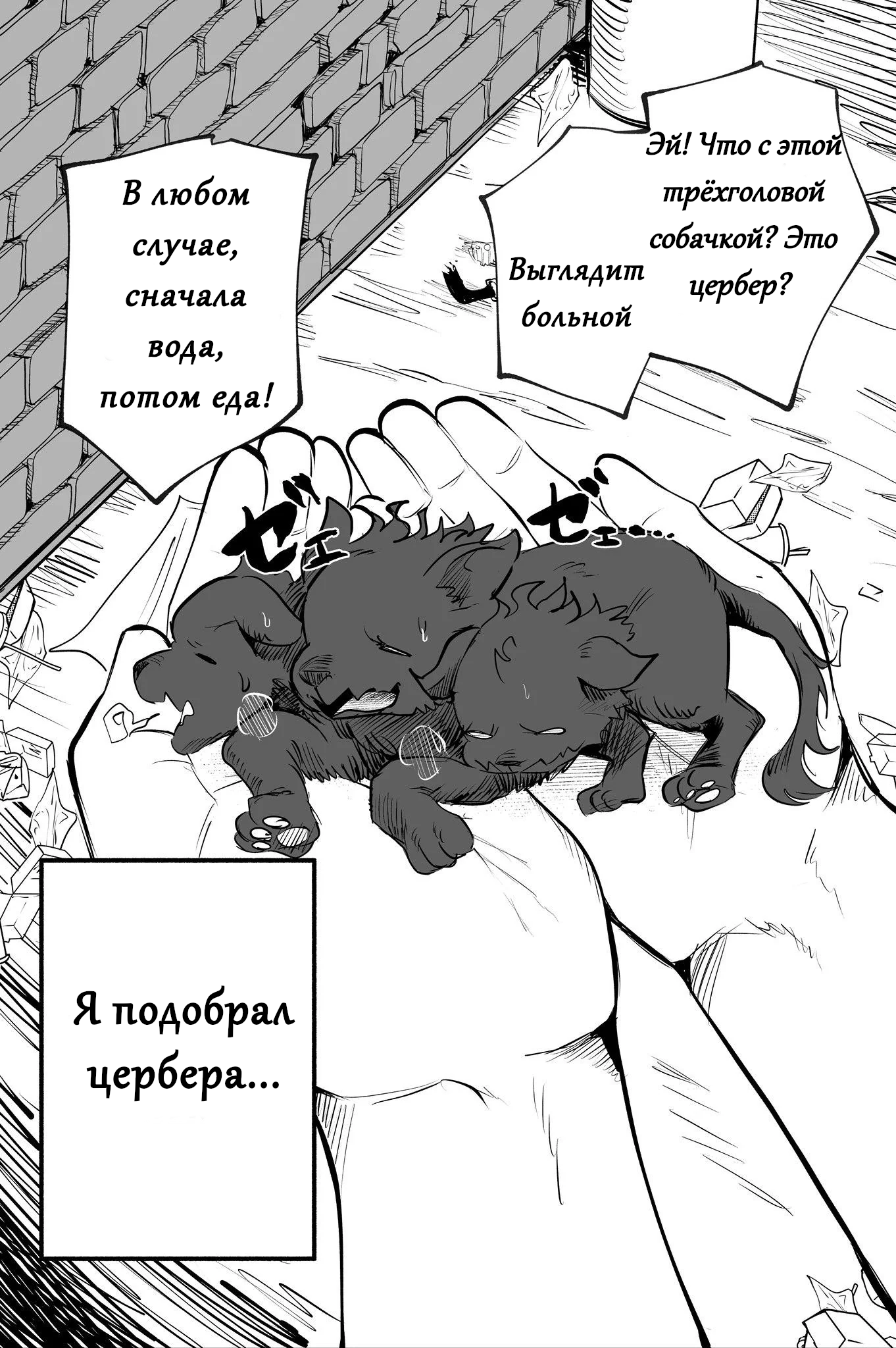 Я подобрал цербера