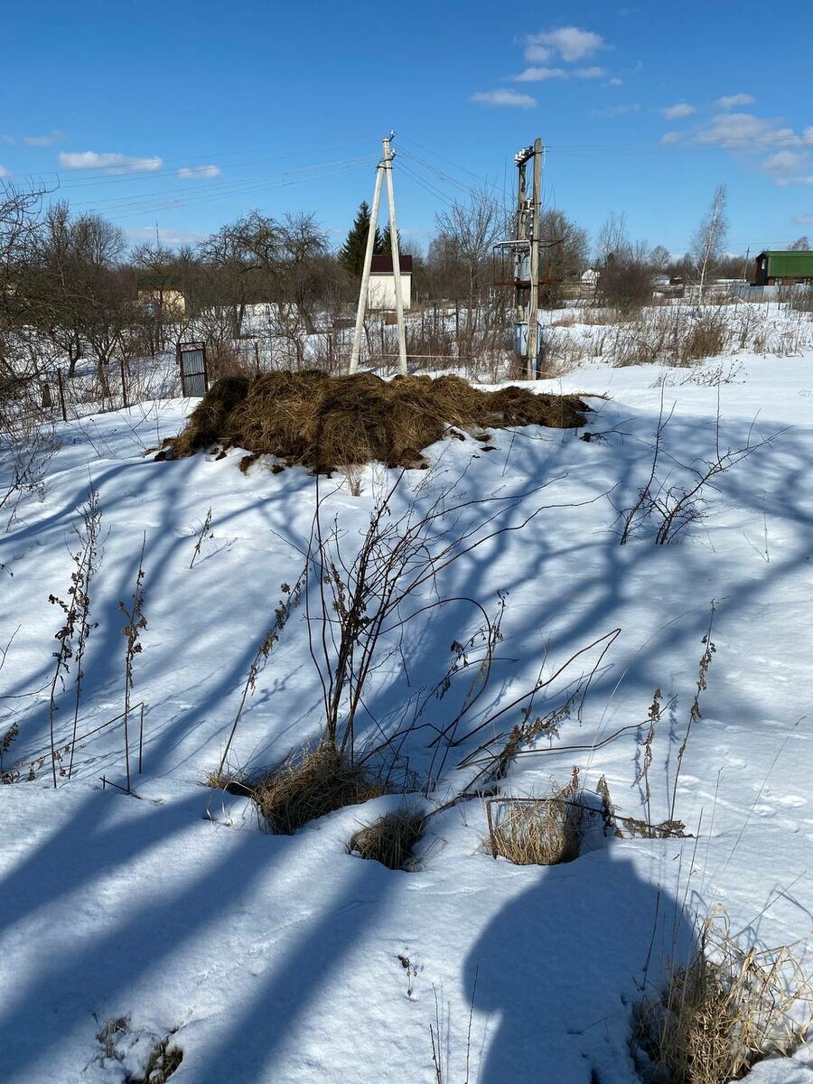 2 Планировка участка, покупки и немного о проблемах | Пикабу