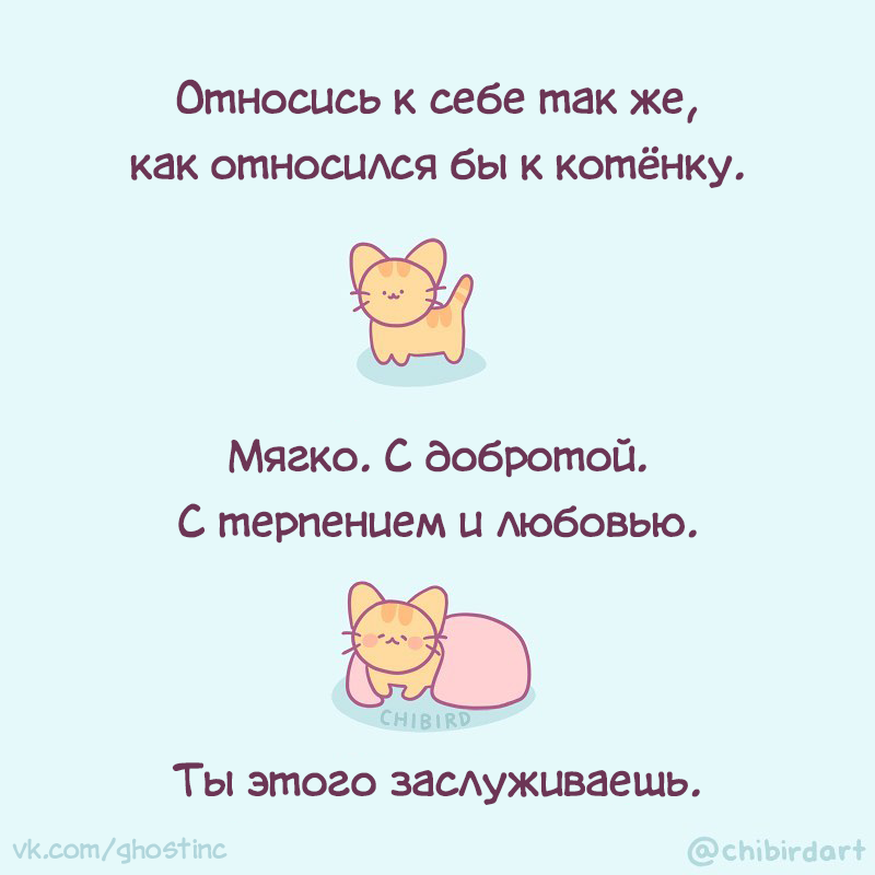 Котёнок | Пикабу