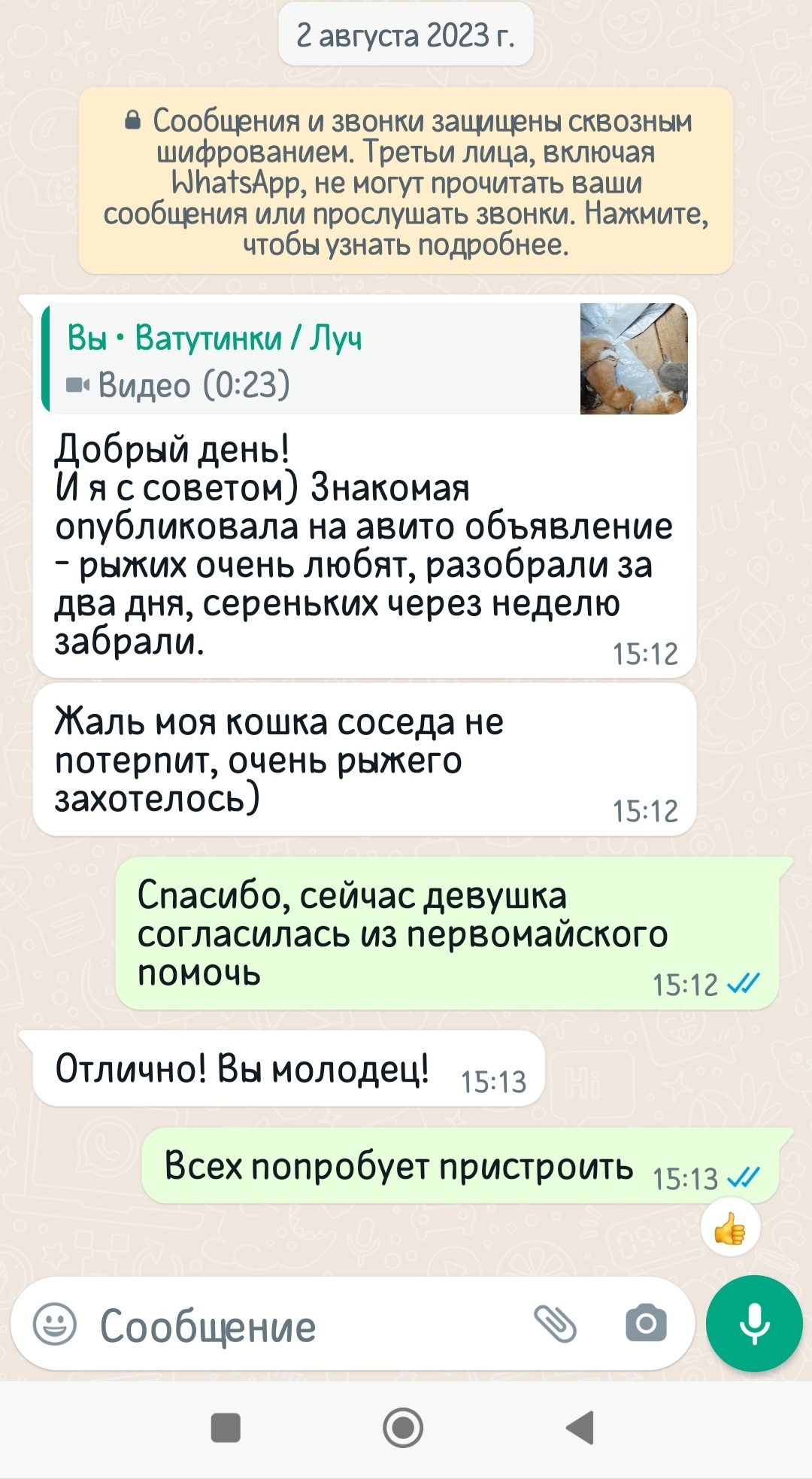 Ответ на пост «Нам опять подкинули домашних котят в ветклинику. Пожалуйста,  стерилизуйте кошек. Никому ваши котят не нужны» | Пикабу