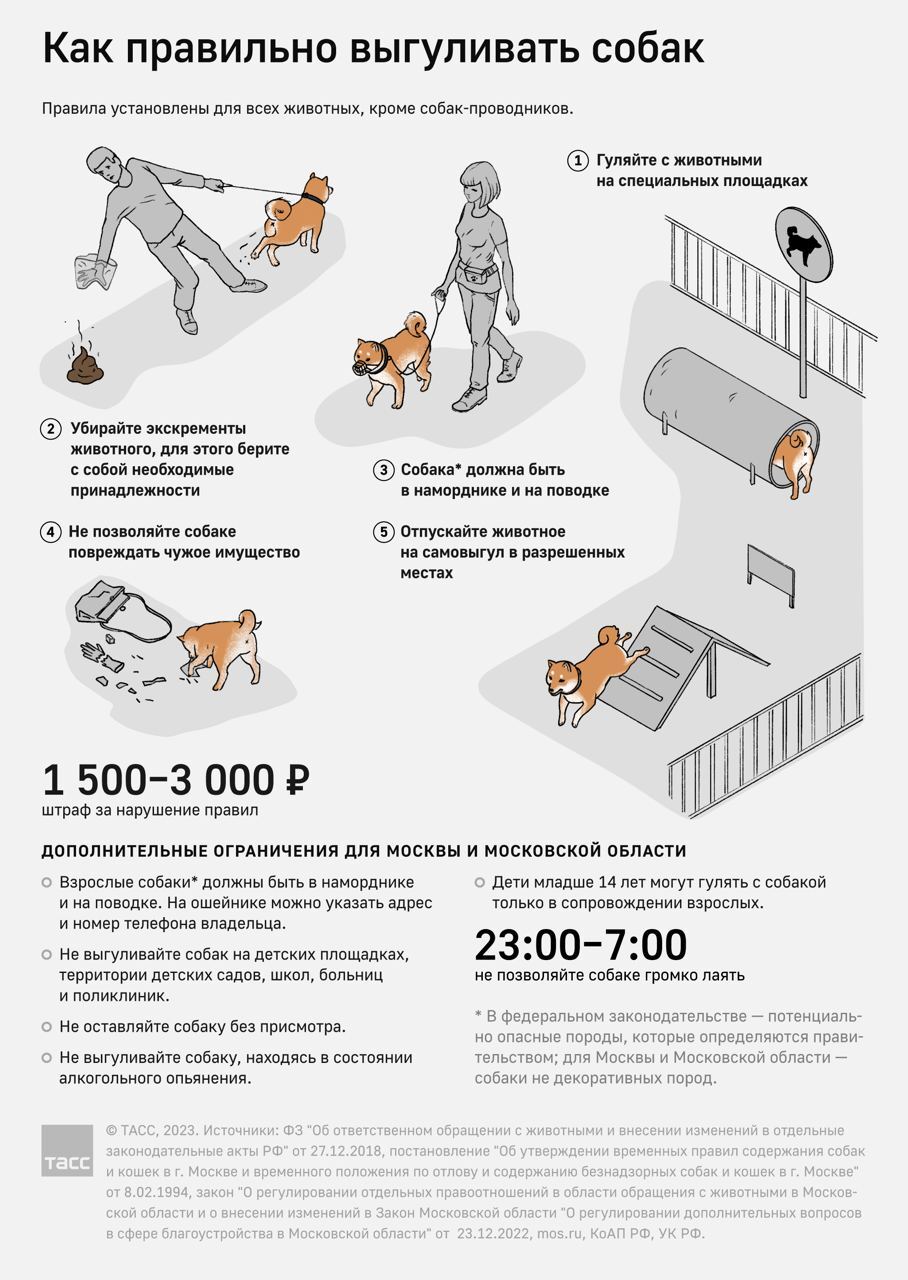 Изменения закона для собачников | Пикабу