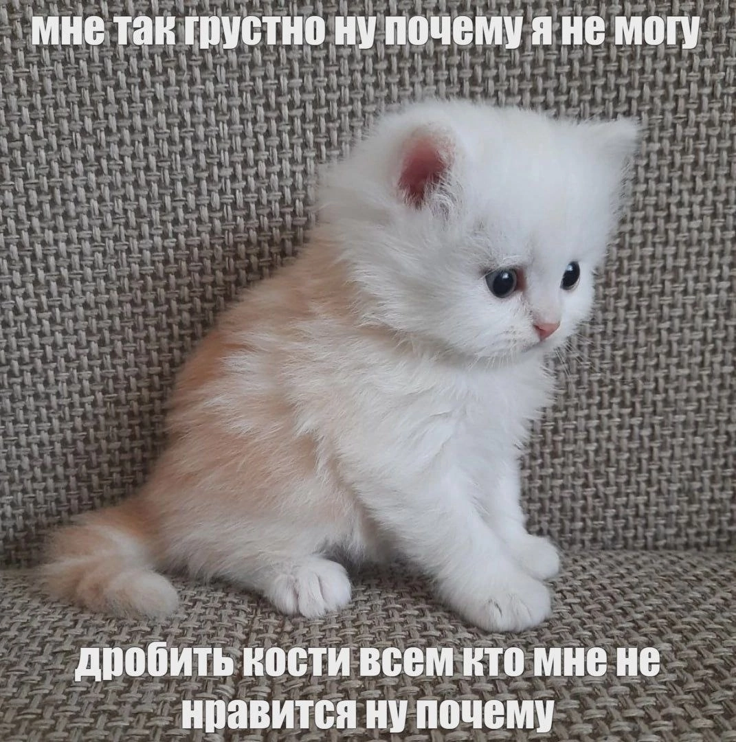Эх | Пикабу
