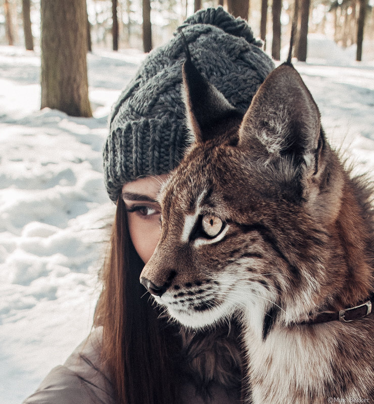 Женщина-Рысь | Пикабу