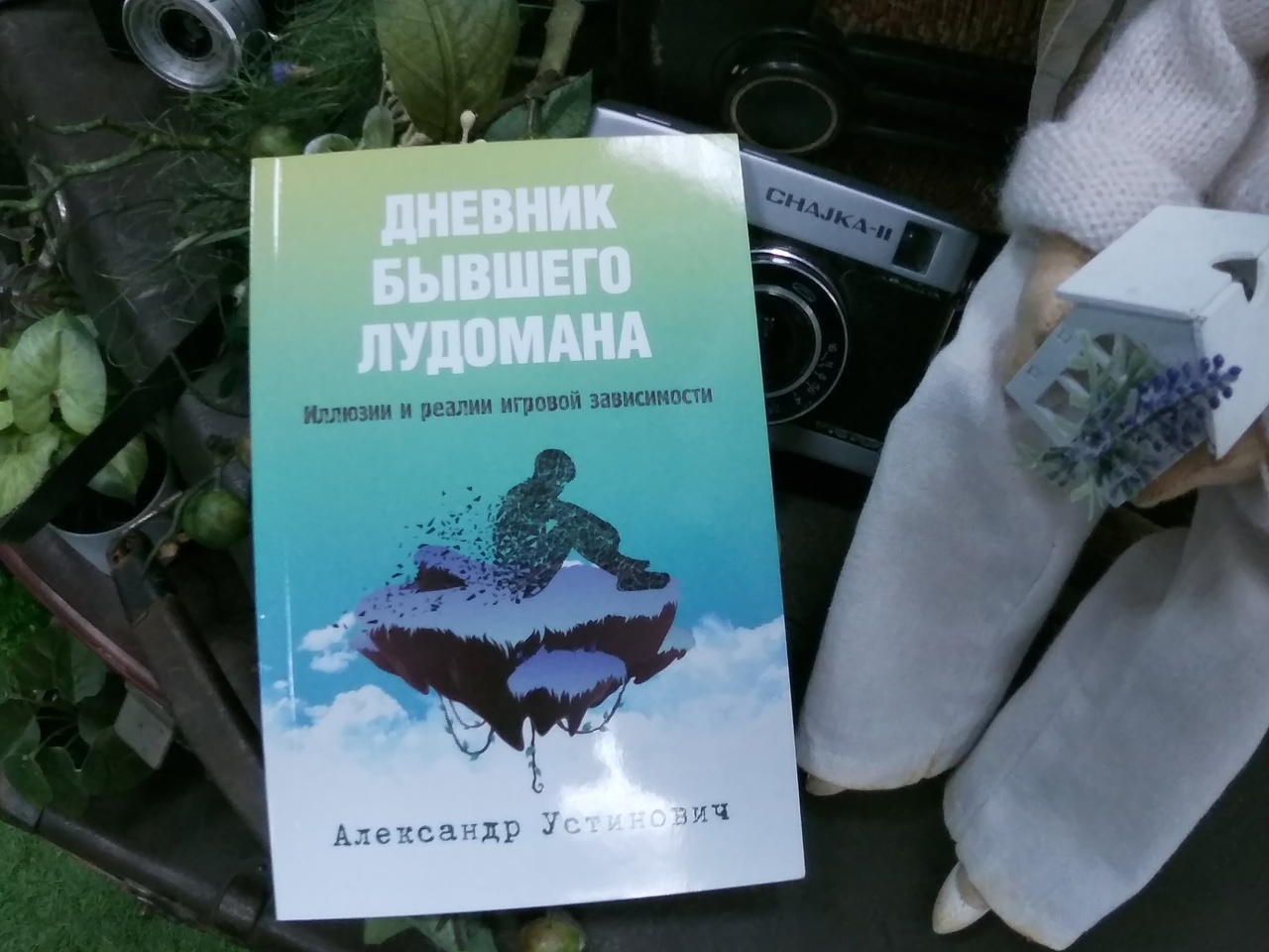 Лудомания: истории из жизни, советы, новости, юмор и картинки — Лучшее |  Пикабу